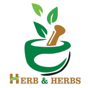 Herb n Herbs